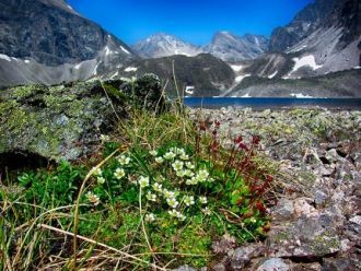 В это время сильно колеблется температур