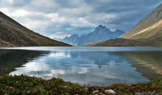 Наибольший интерес представляют виды, во