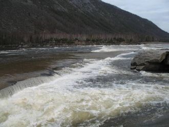 В заповеднике отмечено 1085 видов растен