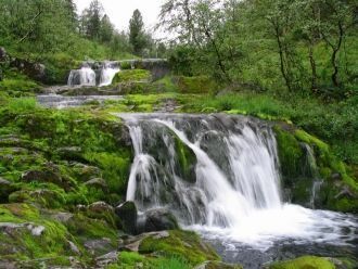 Природный заповедник был создан в 1991 г
