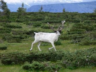 То есть территории, исторически подвергн