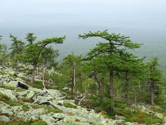 Вишерский заповедник