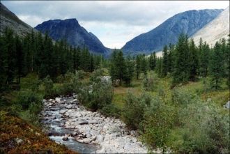 Вишерский заповедник (Reserve Vishersky)