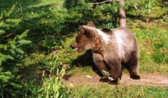 Посещение экомаршрутов возможно только в
