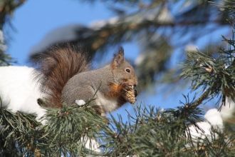 Кроме этого, строительство и ремонт баз 