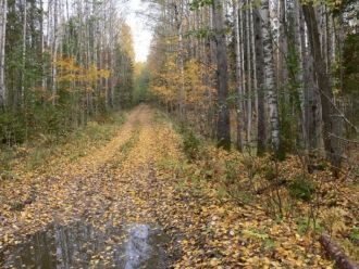 В 1996 году на территории заповедника бы