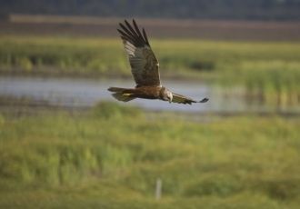 Заповедник расположен в пределах таежной