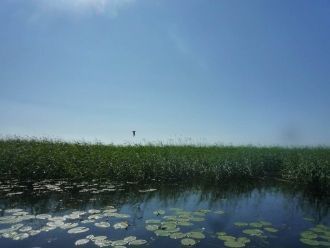 Отсюда начинаются пять, обустроенных эко