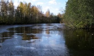 Размах его крыльев достигает 190 сантиме