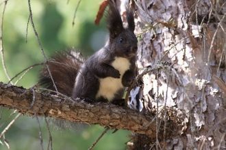 Каждый заповедник, заказник, национальны