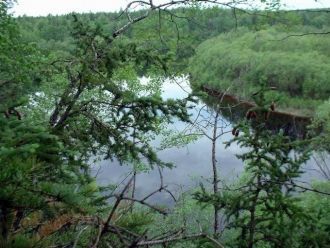 Целью заповедника является охрана фауны 