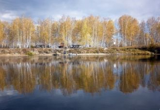 Птичье царство представлено 184 видами, 