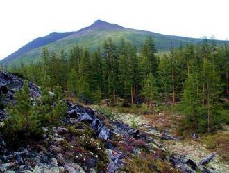 Ботчинский заповедник