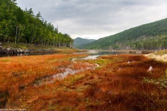 Необходимо отметить редко встречающиеся 