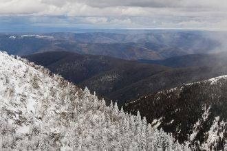 В животном мире Зейского заповедника наб
