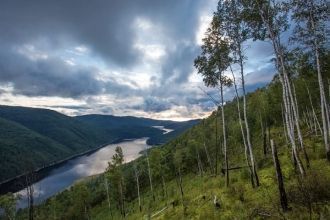 Зейский заповедник организован в 1963 г.