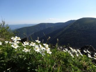 К ним устремляются многие мелкие горные 