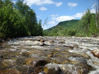 Практически вся территория заповедника з