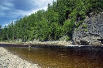 Широкое распространение получили лось, к