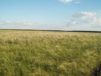 Разнообразен мир птиц заповедника. Из ре