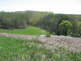 Здесь обитают лесная куница, барсук, лос