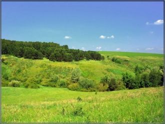 Разнообразие редких видов флоры и фауны 