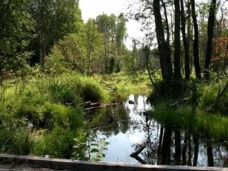 В верховьях Суры организовывают экспедиц