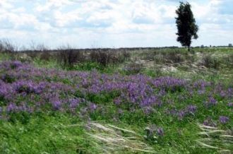 Заповедник располагается на юго-западе П