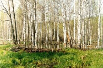 Важна роль заповедной территории как рез