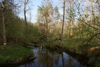 В пределах участка 