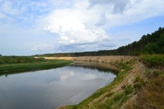 Наряду с широко распространенными здесь 