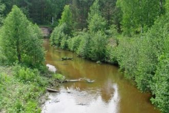 Батыревский сурковый заказник был органи