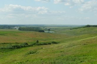 Среди птиц обычными являются глухарь и т