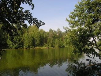 Главными задачами заповедника стоит сохр