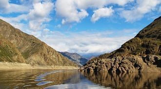 Общее число зарегистрированных сосудисты