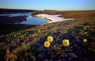 На территории заповедника и его окрестно