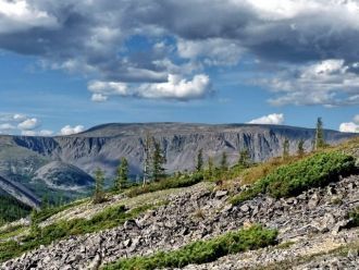 В Сохондинском заповеднике можно встрети