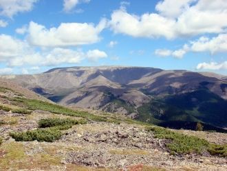 Здесь, на сравнительно небольшой площади