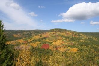 Всего при подъёме в горы можно наблюдать