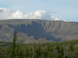 Среди них значительную часть составляют 