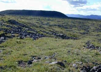 Многие из этих видов занесены в Красную 