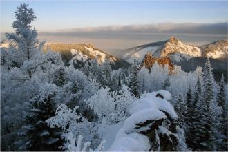 Охранная зона «Бикада» и арктический фил