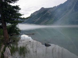 Ученые изучают в заповеднике типичные ту