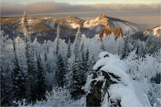На территории заповедника произрастают 4