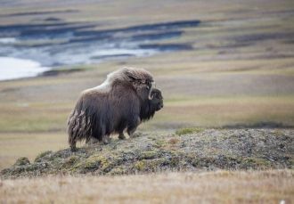 Охраняемая территория имеет кластерный х