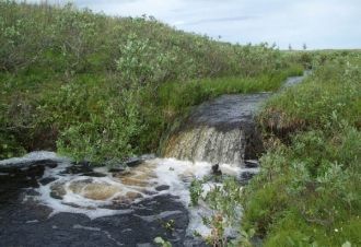 Заповедник также включает в себя чуть бо