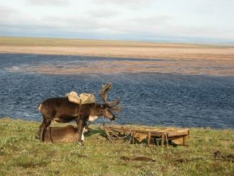 В реках и озерах заповедника водится 20 