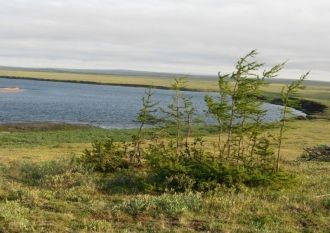 По территории заповедника протекают реки