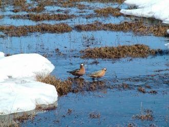 Площадь охраняемой территории составляет