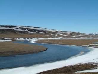 Таймырский заповедник создан 23 февраля 